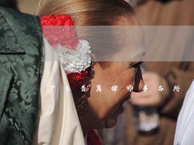 广东普翼律师事务所