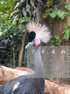 广东最好的劳动法律师 广东最好的劳动法律师