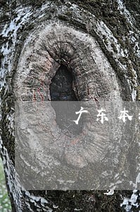 广东本地增城房产律师 广东本地增城房产律师