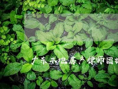 广东本地房产律师团排行 广东本地房产律师团排行