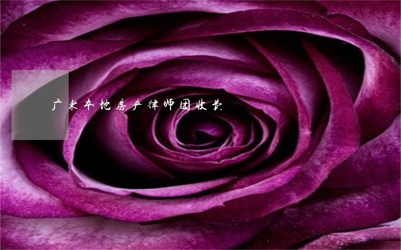 广东本地房产律师团收费 广东本地房产律师团收费
