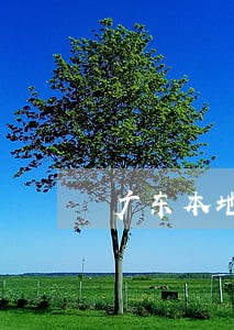 广东本地房产律师团队
