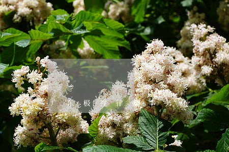 广东极视律师事务所 广东极视律师事务所