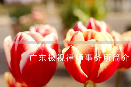 广东极视律师事务所简介 广东极视律师事务所简介