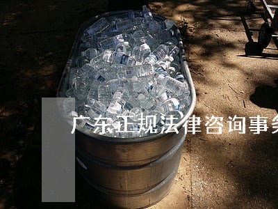 广东正规法律咨询事务所 广东正规法律咨询事务所