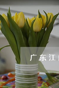 广东江门专办夫妻债务纠纷律师 广东江门专办夫妻债务纠纷律师