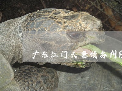 广东江门夫妻债务纠纷律师网站 广东江门夫妻债务纠纷律师网站