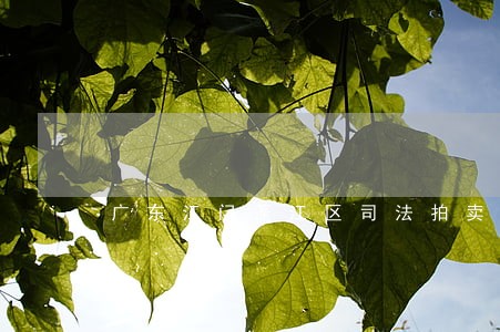 广东江门蓬江区司法拍卖 广东江门蓬江区司法拍卖