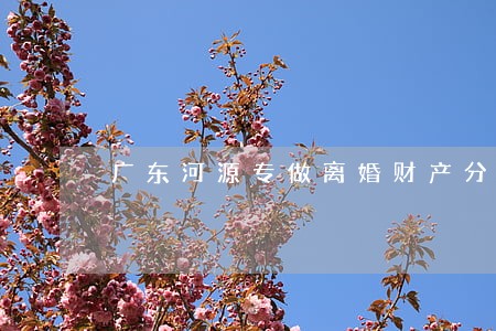 广东河源专做离婚财产分配律师 广东河源专做离婚财产分配律师