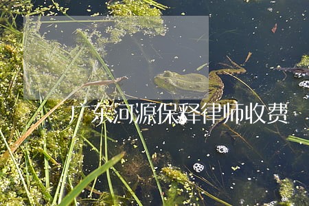 广东河源保释律师收费 广东河源保释律师收费