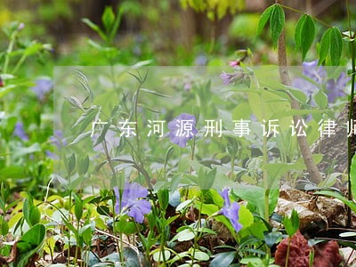 广东河源刑事诉讼律师法律咨询 广东河源刑事诉讼律师法律咨询