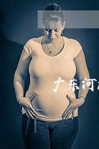广东河源可靠的刑辩律师 广东河源可靠的刑辩律师