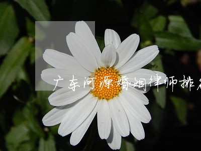 广东河源婚姻律师排名