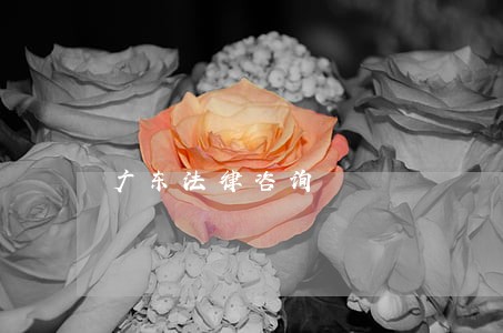 广东法律咨询