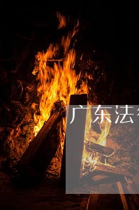 广东法律咨询免费咨询 广东法律咨询免费咨询