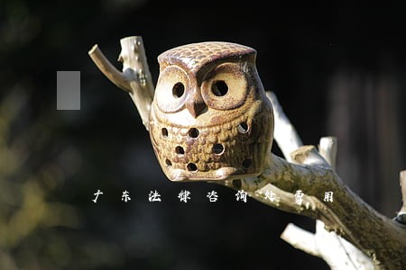 广东法律咨询处费用 广东法律咨询处费用