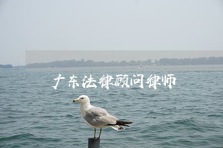 广东法律顾问律师 广东法律顾问律师