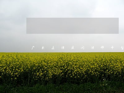 广东法律顾问律师平台 广东法律顾问律师平台