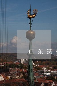 广东法律顾问联盟 广东法律顾问联盟