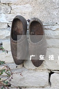 广东法院下载 广东法院下载