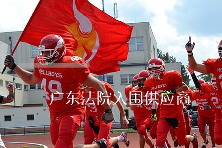广东法院入围供应商