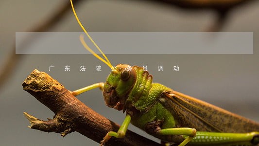 广东法院公务员调动 广东法院公务员调动