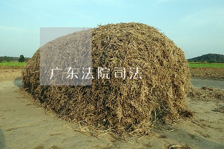 广东法院司法 广东法院司法