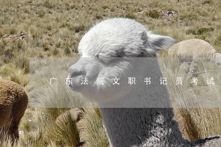 广东法院文职书记员考试试题