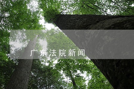 广东法院新闻