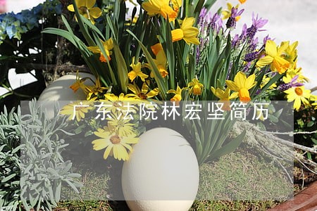 广东法院林宏坚简历 广东法院林宏坚简历