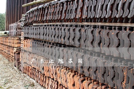 广东法院苏国