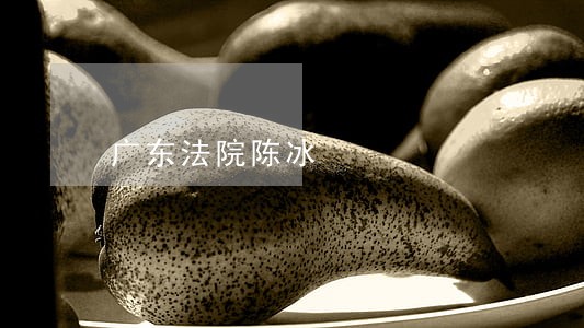 广东法院陈冰
