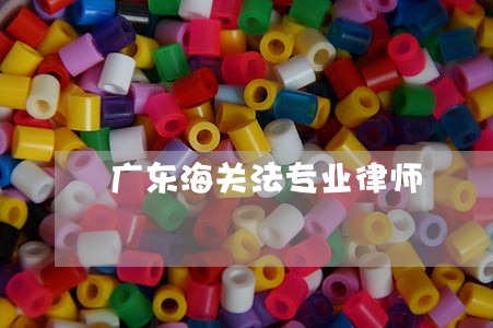 广东海关法专业律师 广东海关法专业律师