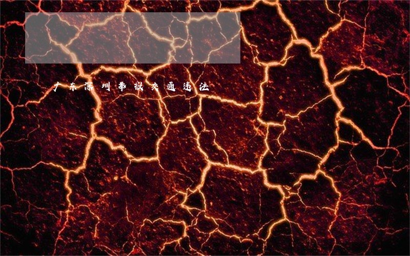 广东深圳举报交通违法 广东深圳举报交通违法