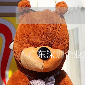 广东深圳企业反舞弊律师找谁 广东深圳企业反舞弊律师找谁