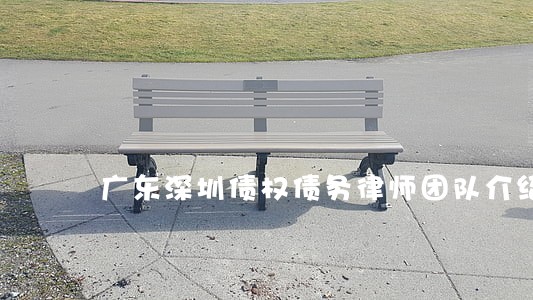 广东深圳债权债务律师团队介绍 广东深圳债权债务律师团队介绍