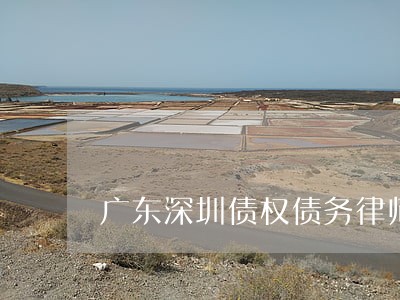 广东深圳债权债务律师团队收费 广东深圳债权债务律师团队收费