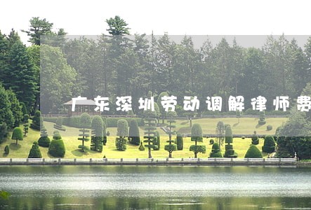 广东深圳劳动调解律师费 广东深圳劳动调解律师费
