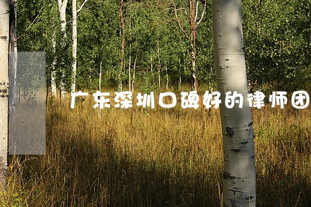 广东深圳口碑好的律师团队 广东深圳口碑好的律师团队