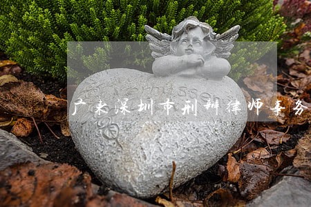 广东深圳市刑辩律师事务所 广东深圳市刑辩律师事务所
