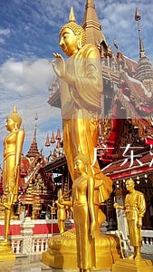 广东深圳离婚债务纠纷律师 广东深圳离婚债务纠纷律师