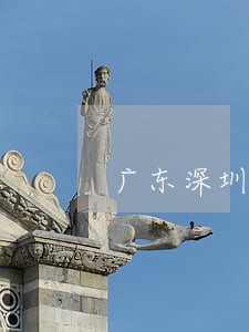 广东深圳苏甜律师 广东深圳苏甜律师