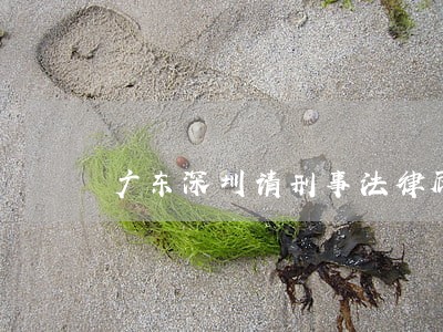 广东深圳请刑事法律顾问