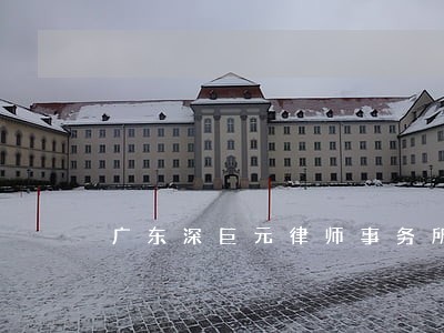 广东深巨元律师事务所是否有