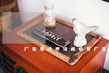 广东清远市法院拍卖广东欣意