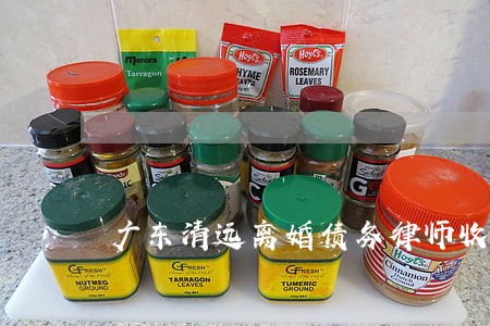 广东清远离婚债务律师收费标准