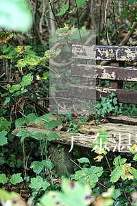 广东湛江房地产律师价格 广东湛江房地产律师价格