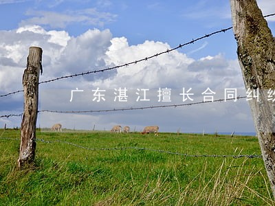 广东湛江擅长合同纠纷律师 广东湛江擅长合同纠纷律师