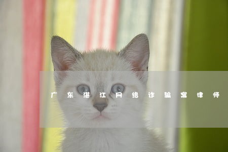 广东湛江网络诈骗案律师哪个好 广东湛江网络诈骗案律师哪个好