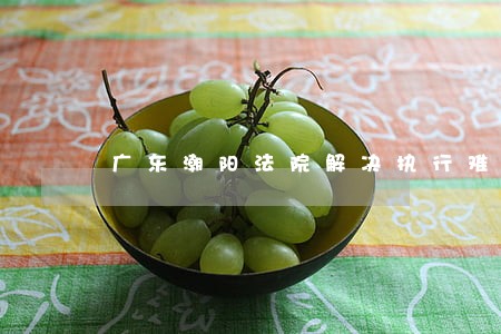 广东潮阳法院解决执行难 广东潮阳法院解决执行难